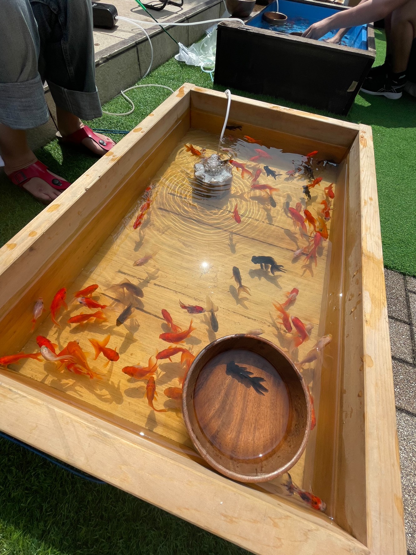 イベント出店のお知らせ